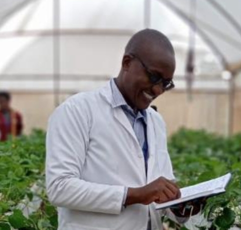 Mr. Antony K. Ndege